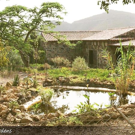 Live Finca San Miguel San Miguel de Abona Kültér fotó