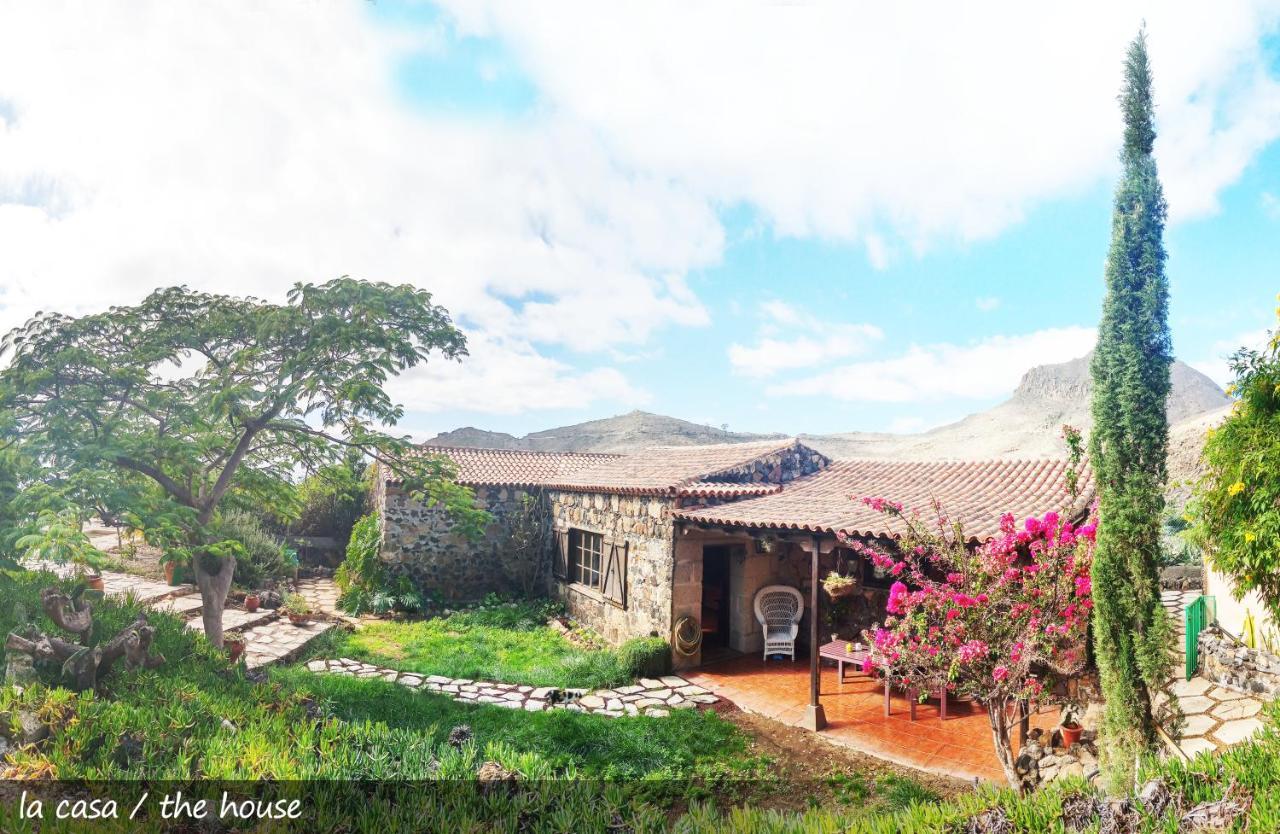 Live Finca San Miguel San Miguel de Abona Kültér fotó