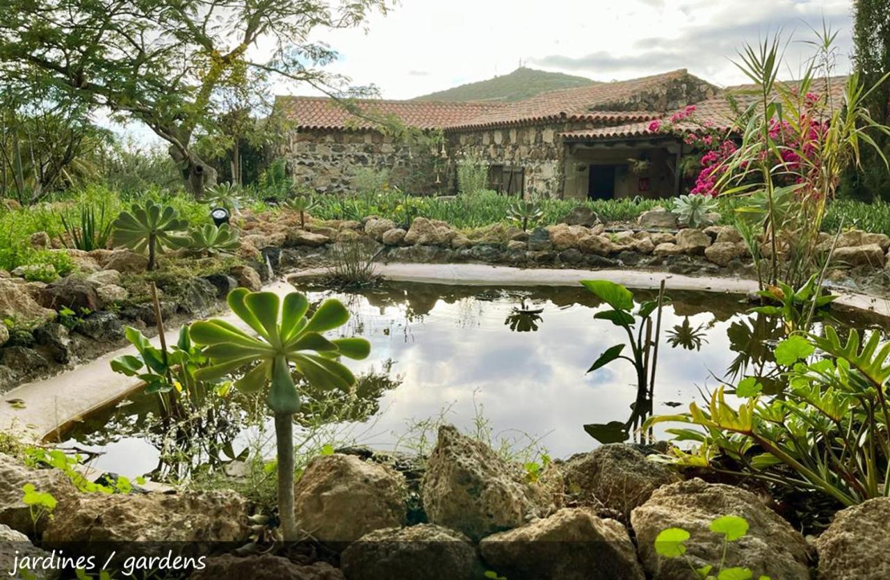 Live Finca San Miguel San Miguel de Abona Kültér fotó